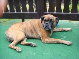 Resize of DSC00320.JPG